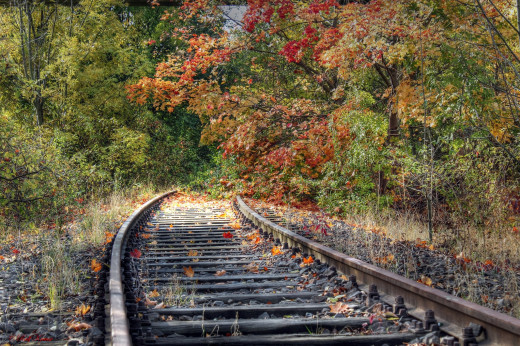 705405 (a): :2048x1361